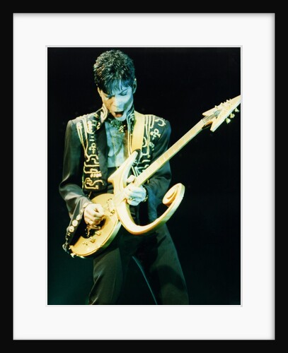 Prince Pop Star by Richard Nelmes