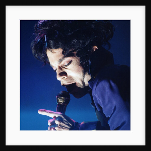 Prince Pop Star by Richard Nelmes