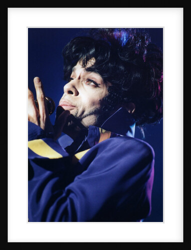 Prince Pop Star by Richard Nelmes