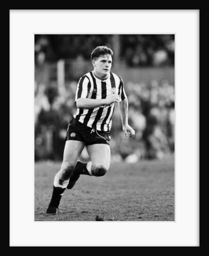 English League Division One match at Plough Lane by Monte Fresco