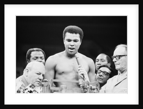 Muhammad Ali by Monte Fresco