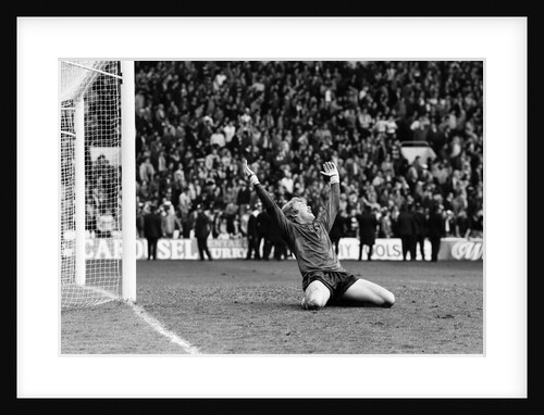 FA Cup Semi Final, Wolverhampton Wanderers v Tottenham Hotspur by Monte Fresco