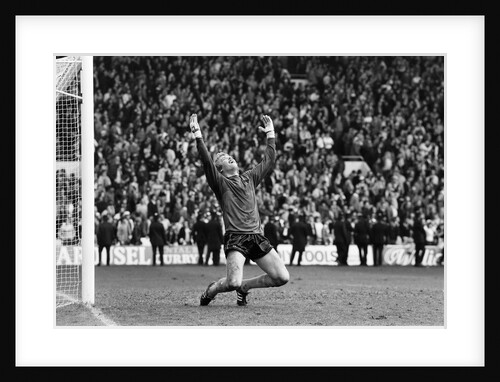 FA Cup Semi Final, Wolverhampton Wanderers v Tottenham Hotspur by Monte Fresco