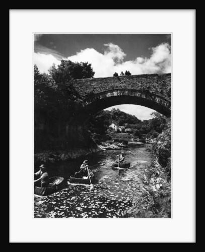 Cenarth Bridge by Staff