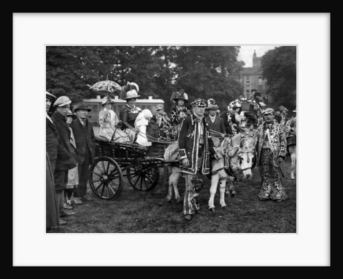 Donkey Marathon Rac by Staff