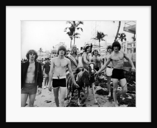 The Byrds in Miami 1965 by Curt Gunther