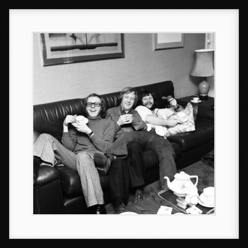 The Goodies by David Johnson