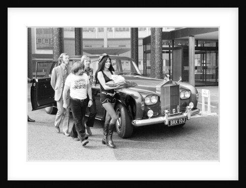 The Goodies by David Johnson