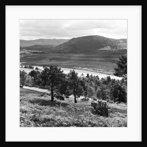 Aberdeen 1959 by Staff