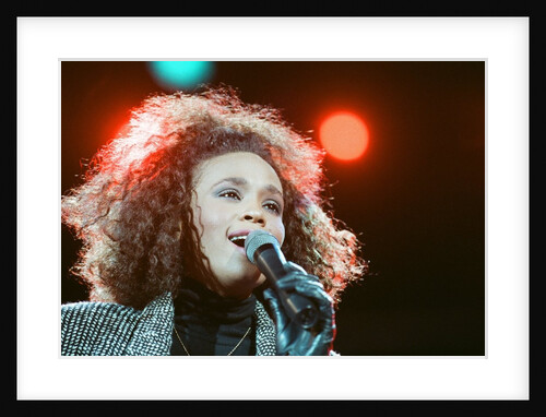 Whitney Houston by Brendon Monks