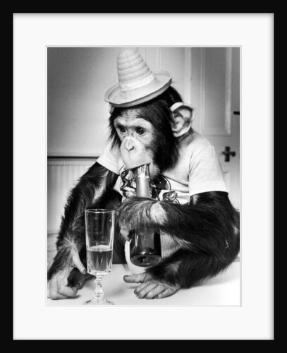 Party Animal by Staff