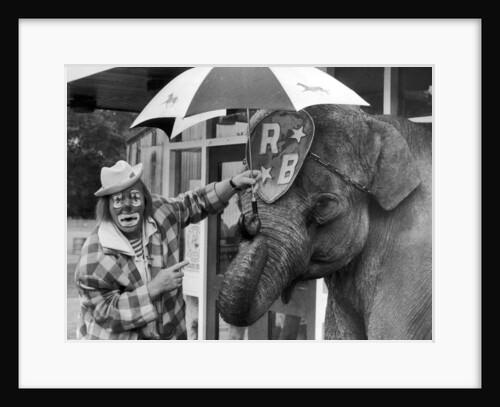 Jack Fossett and Maureen the elephant by Staff