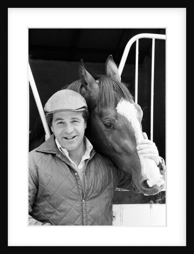 Racehorse Shergar 1981 by Micheal Daines