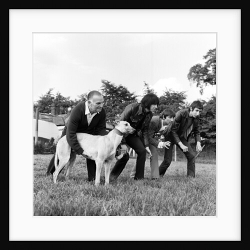 The Who group 1968 by Tom King