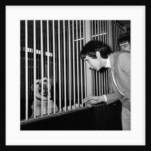 The Who group 1965 by Charles Ley