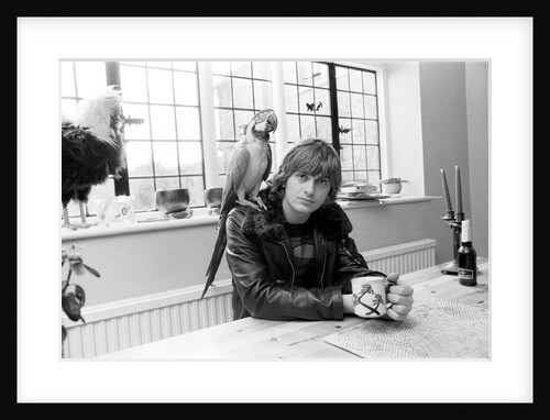 Mike Oldfield by Peter Stone