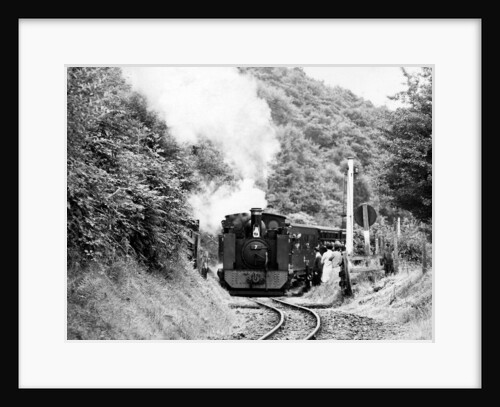 Steam Trains by Reader
