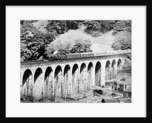 Steam Trains by Reader