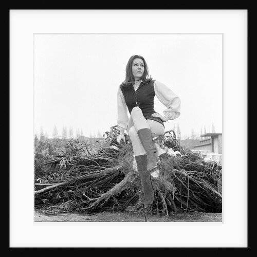 Diana Rigg by Victor Crawshaw