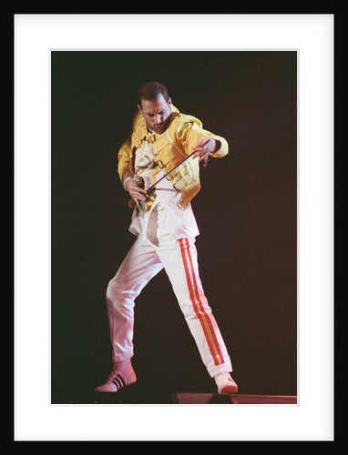 Freddie Mercury 1989 by Nigel Wright