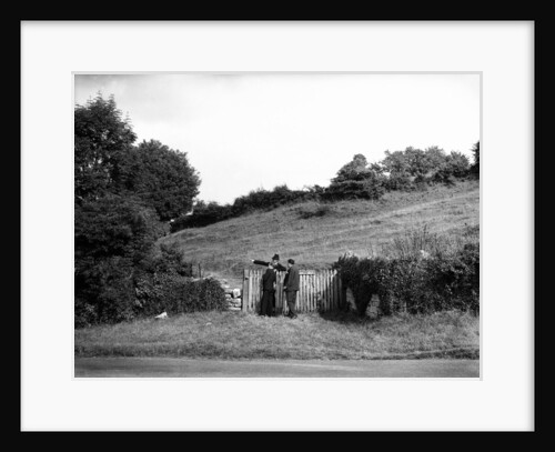 View of Bloomfield 'Tump', Bath 1951 by Greaves