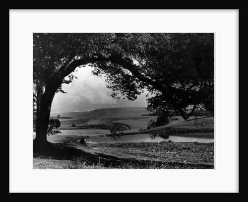Craigallian Loch 1956 by Daily Record