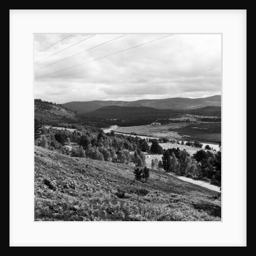 Aberdeen 1959 by Staff