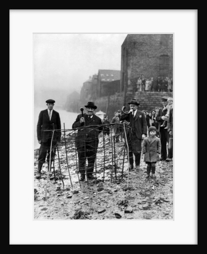 Planting of the Penny Hedge by Staff