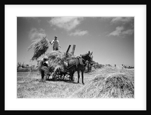 Island of Sark 1947 by Staff