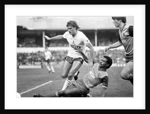 Tottenham Hotspur v Stoke City by Nigel Cairns