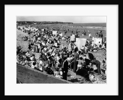 Saltburn by NCJ Staff