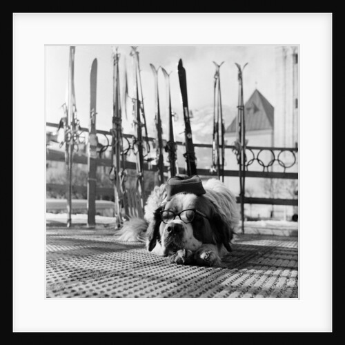 Winter Olympics 1956 by Bosher