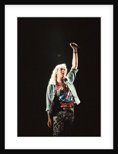 Def Leppard by M Queenborough