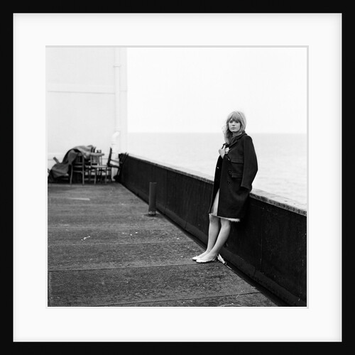 Marianne Faithfull by Terry Mealy