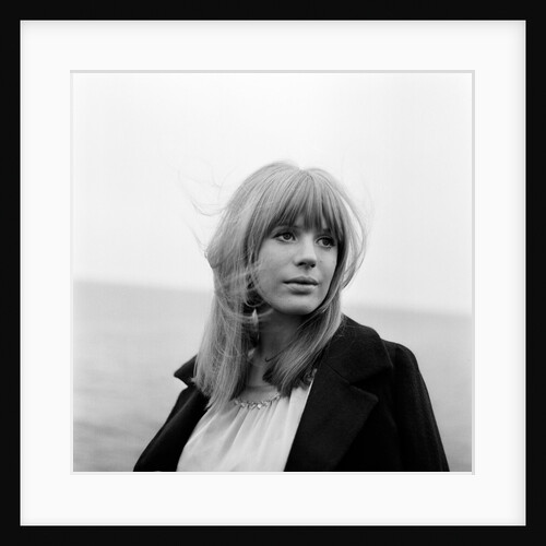 Marianne Faithfull by Terry Mealy