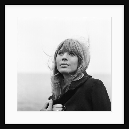 Marianne Faithfull by Terry Mealy