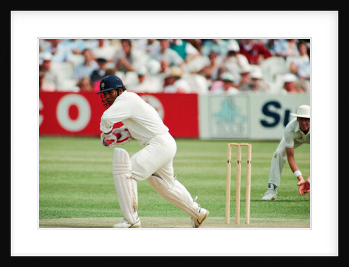 Cricket 1992 by Paul France