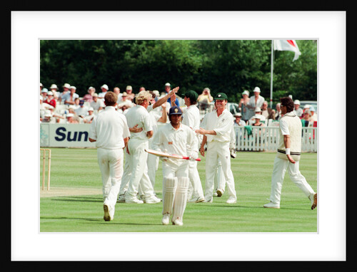 Cricket 1992 by Paul France