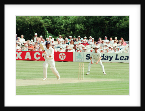 Cricket 1992 by Paul France