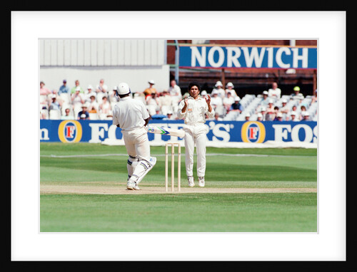 Cricket 1992 by Howard Walker