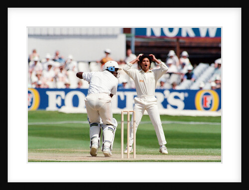 Cricket 1992 by Howard Walker