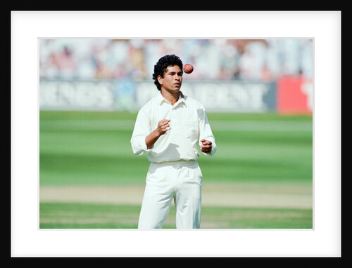 Cricket 1992 by Howard Walker