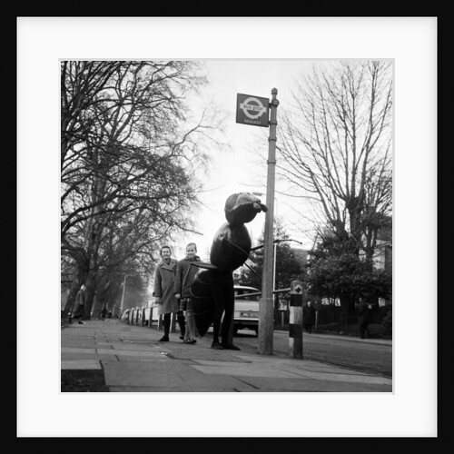 Dr Who, The Web Planet, 1965 by Alisdair MacDonald