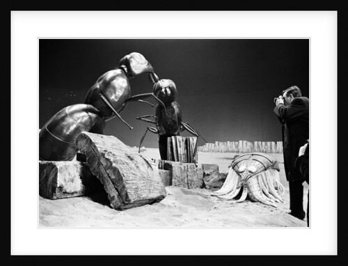 Dr Who, The Web Planet, 1965 by Alisdair MacDonald