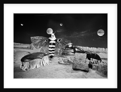 Dr Who, The Web Planet, 1965 by Alisdair MacDonald