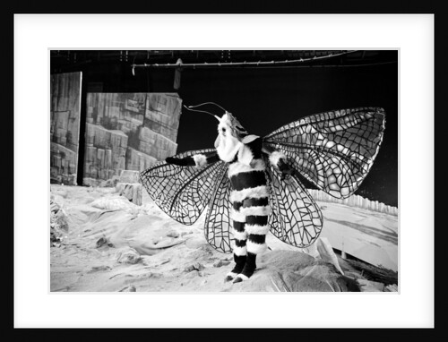 Dr Who, The Web Planet, 1965 by Alisdair MacDonald