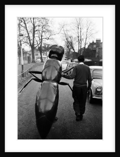 Dr Who, The Web Planet, 1965 by Alisdair MacDonald