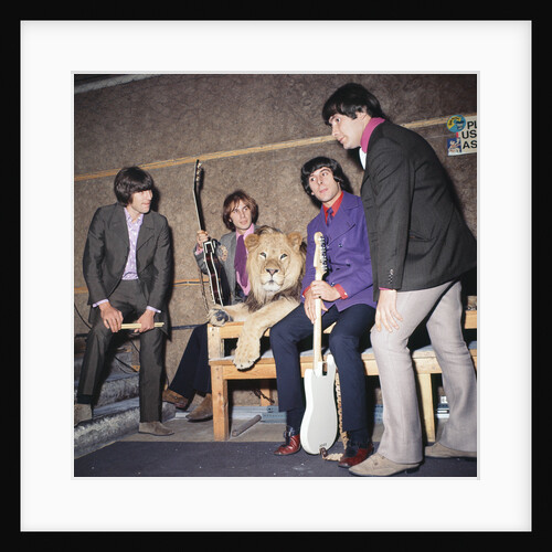 The Troggs by Bill Robson