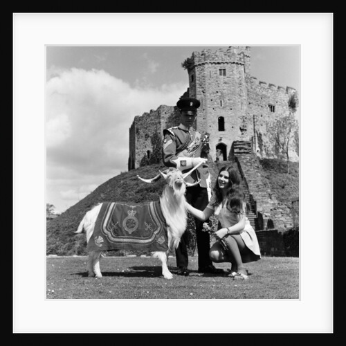Cardiff Castle, 1969. by Ron Harding