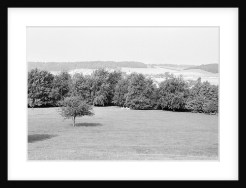 Arthur Newbery Park by Reading Post